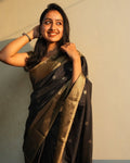 Black Banarasi Silk Saree | Traditional Wedding Wear