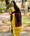 Brown Banarasi Silk Saree | Traditional Zari Weave