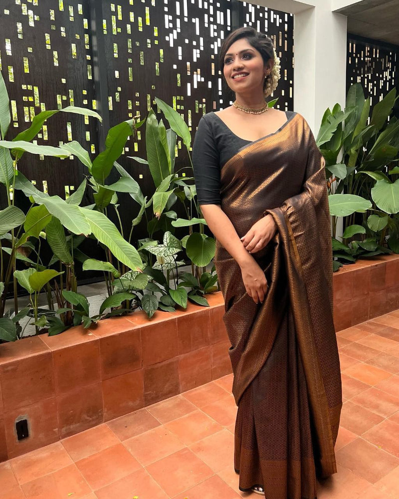 Brown Banarasi Silk Saree | Wedding & Festive Wear