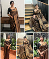 Brown Banarasi Silk Saree | Wedding & Festive Wear