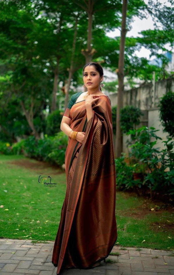 Brown Kanjivaram Silk Saree | Festival & Ceremony Wear