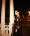 Dark Brown Banarasi Silk Saree | Wedding & Festive Wear
