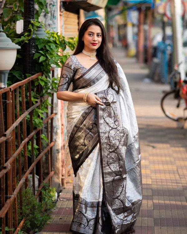 Grey Jacquard Silk Saree | Rich Zari Border Saree