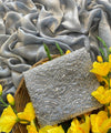 Grey Satin Bollywood Saree with Moti Work Designer Blouse | RD DIVISHA