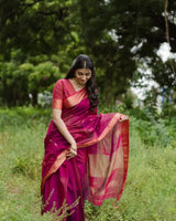 Magenta Pink Cotton Saree | Festival & Ceremony Wear