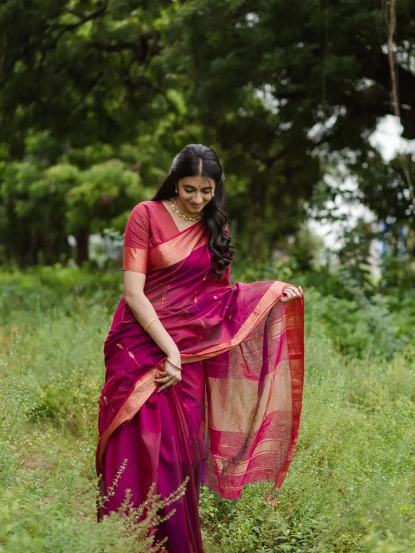 Magenta Pink Cotton Saree | Festival & Ceremony Wear