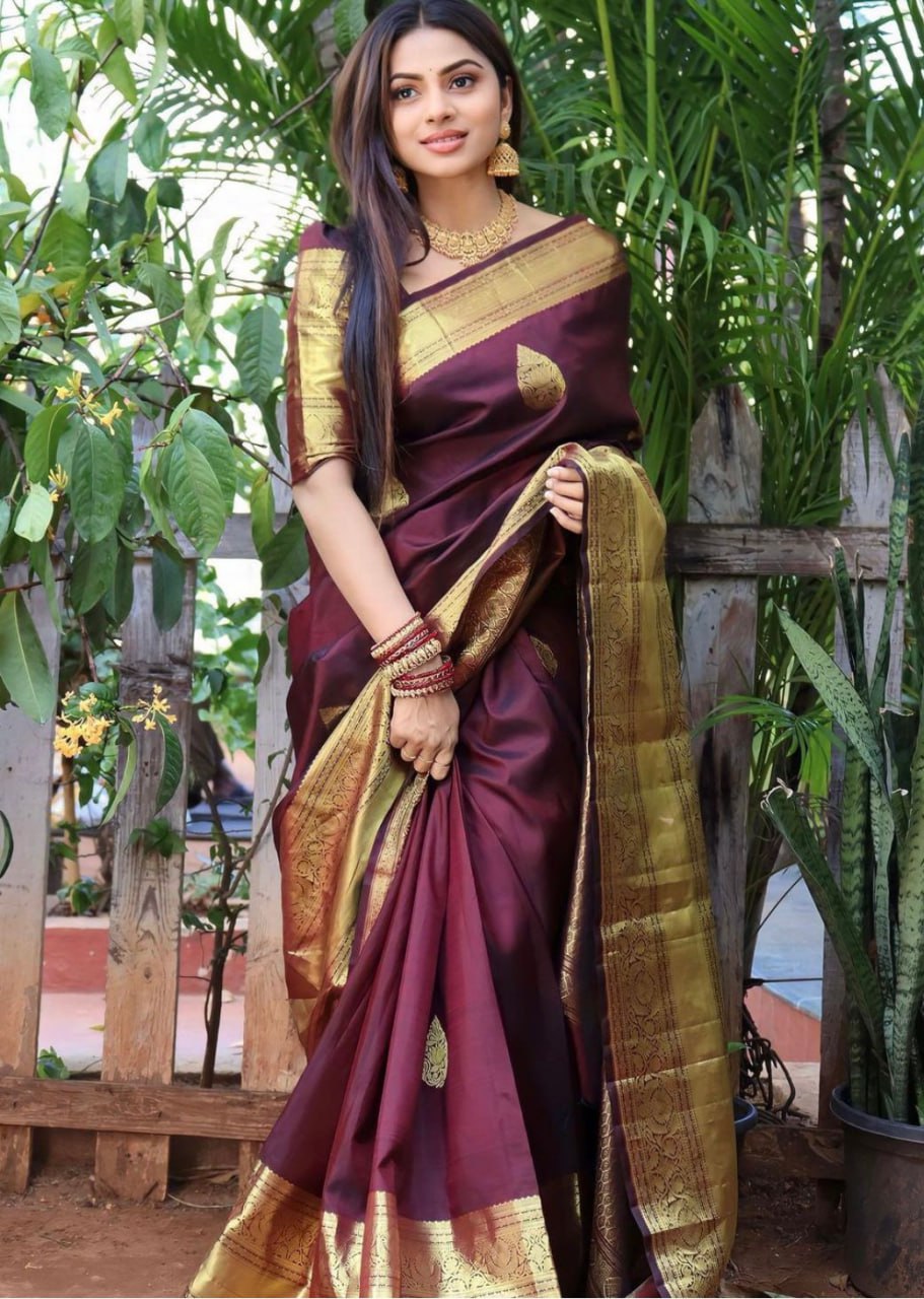 Maroon Banarasi Silk Saree | Wedding & Festive Wear