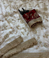 Off White Space Satin Sequin Bits Work Saree for Party Wear | RD RAADO