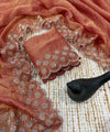 Peach Satin Saree with Zari Weaving & Siroski Border | RD TANISHKA