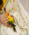 Premium Linen Cotton Saree - White | Daily Wear & Festive Wear