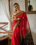 Red Cotton Saree | Comfort Handloom Weave