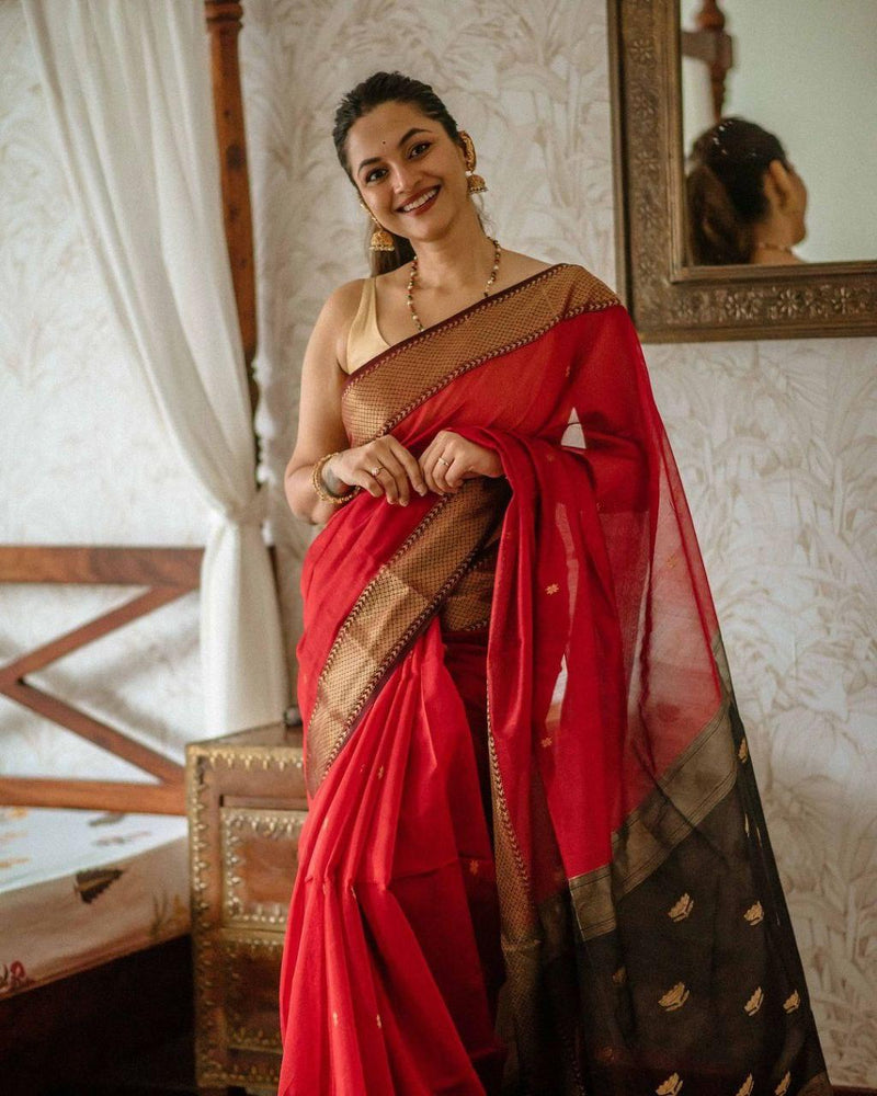 Red Cotton Saree | Comfort Handloom Weave