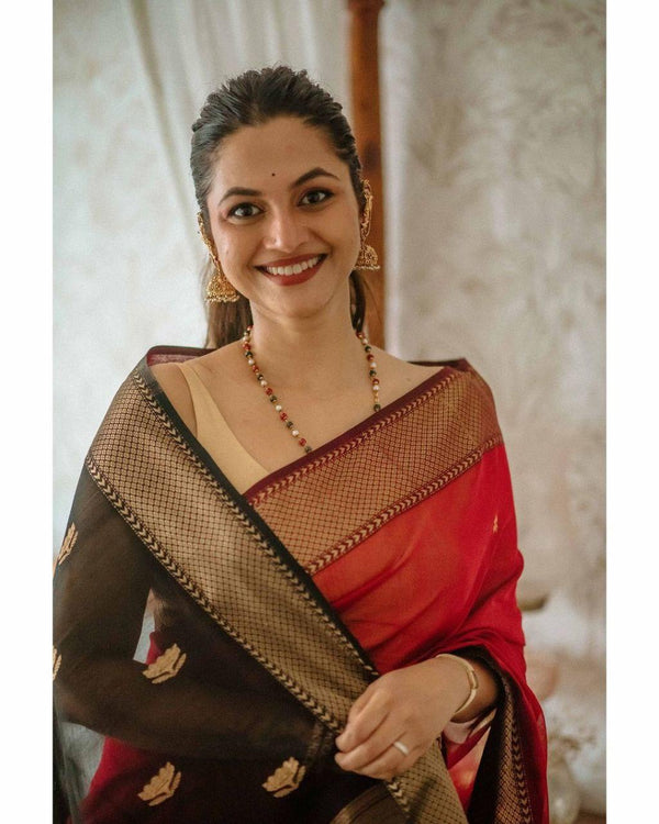 Red Cotton Saree | Comfort Handloom Weave