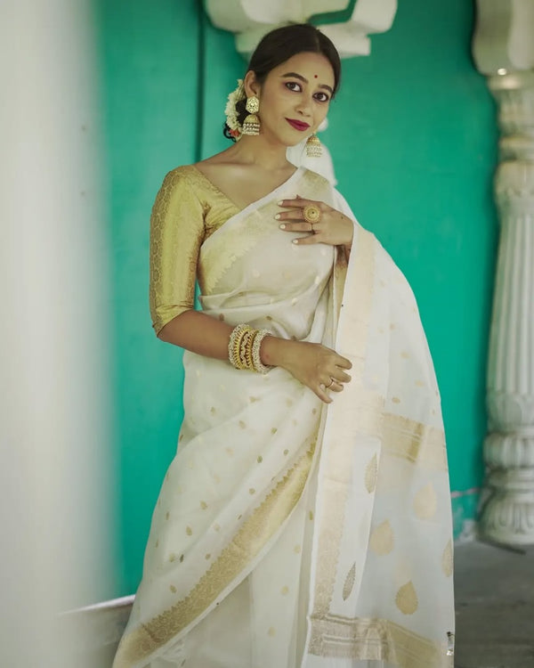 White Cotton Saree | Ethnic Wear for Women