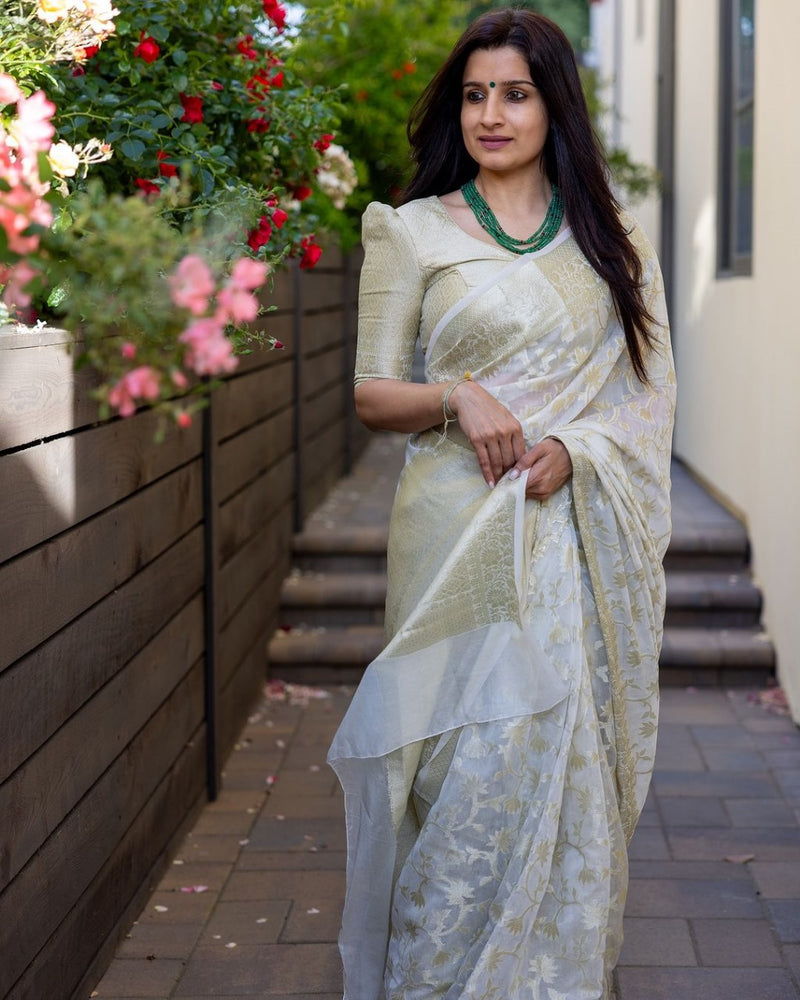 White Cotton Saree | Festive & Party Wear